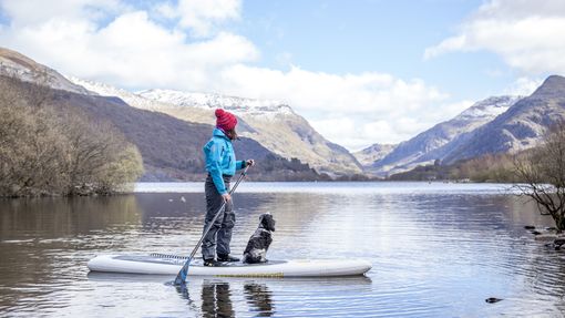 Woman and dog on a paddle-board on lake near mountains