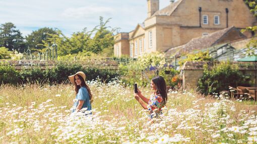 Two women enjoy gardens full of daisies in front of a stone house