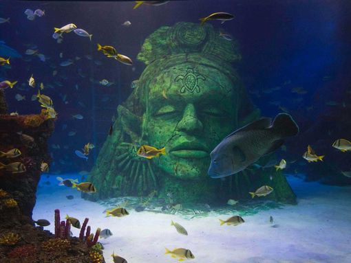 manchester aquarium