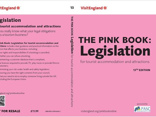 The Pink Book edition 13 - front and back cover