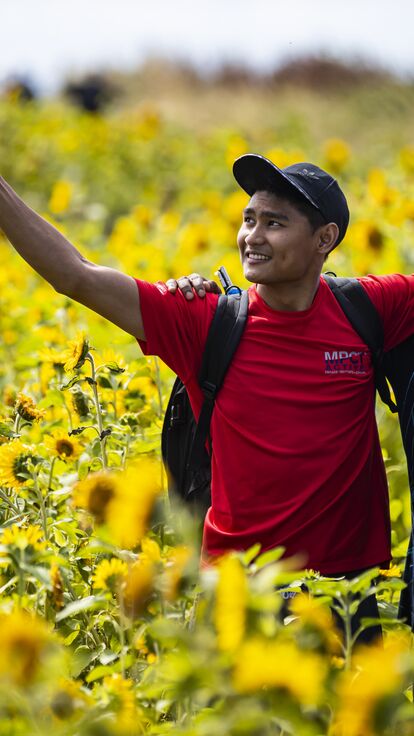 Visitors enjoying the spectacular display of sunflowers at Rhosili and South Gower Coast in Wales