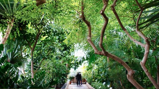 Kew Gardens