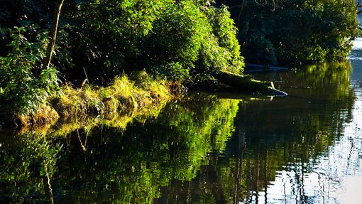 Virginia_Water