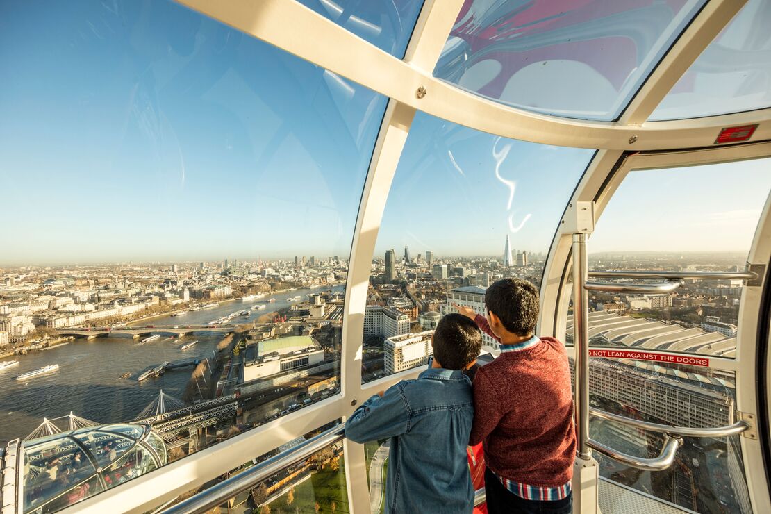 Two boys looking out over the view from a passenger pod