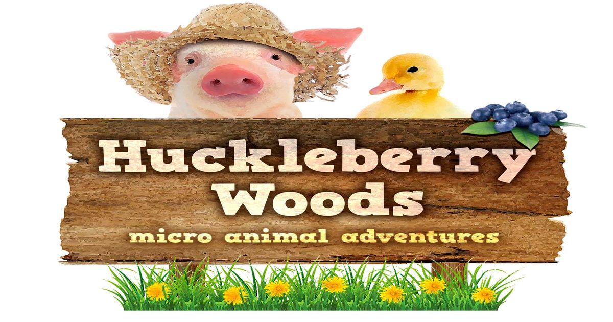 Huckleberry Woods &ndash; Micro-Animal Adventures | VisitBritain