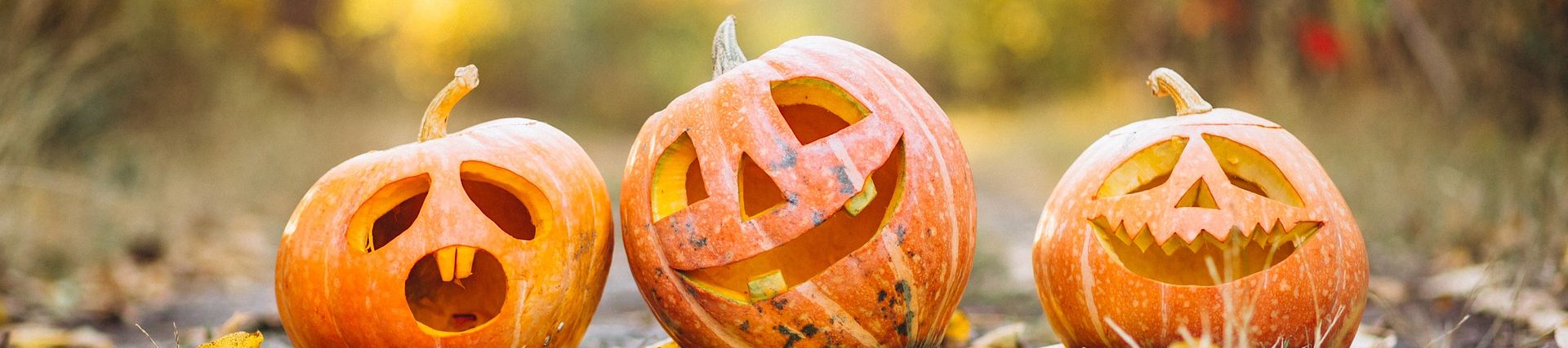 funny_looking_carved_pumpkins_on_an_autumn_background