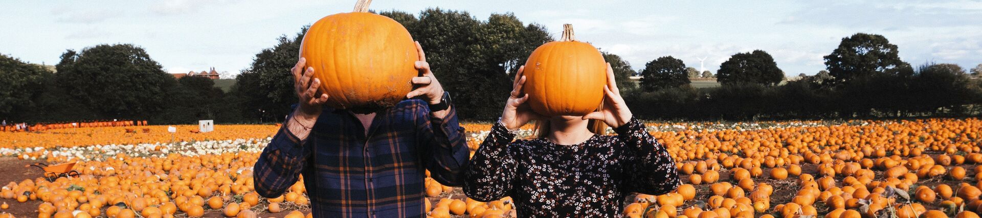 Man and a woman in a pumpkin field