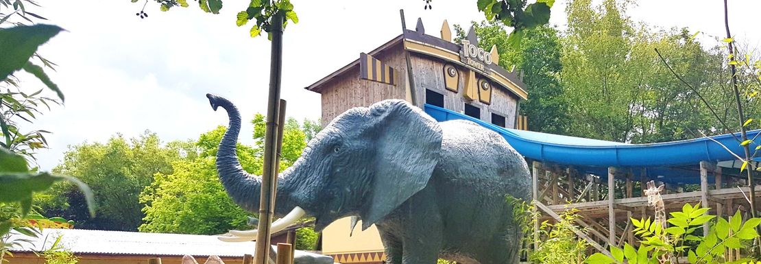 Elephant at Gulliver's World