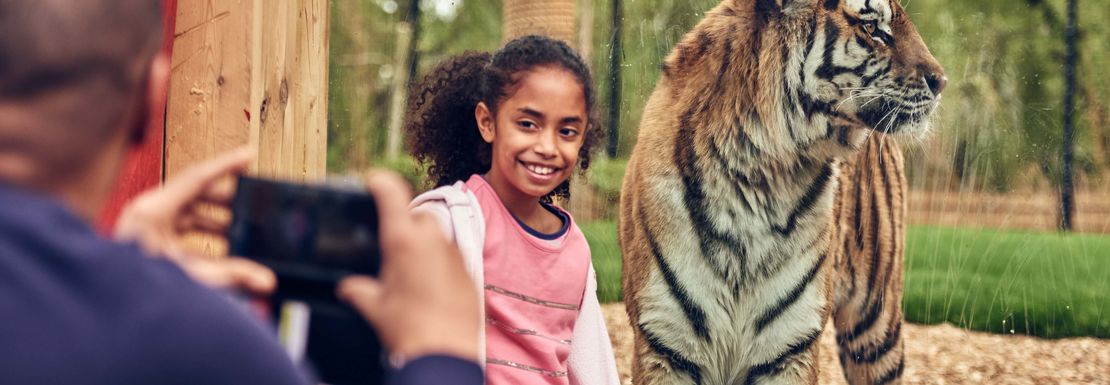 Young girl having a picture taken at Land of the Tigers at Chessington World of Adventures Resort