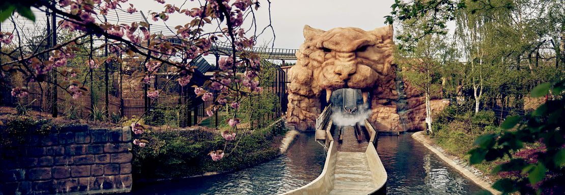 Tiger Rock water ride at Chessington World of Adventures Resort