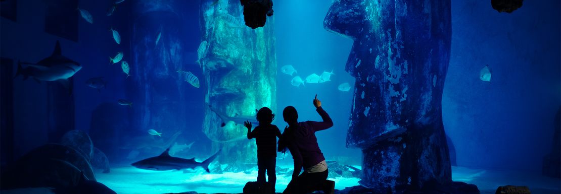 Young child and adult admiring underwater life at SEA LIFE London Aquarium