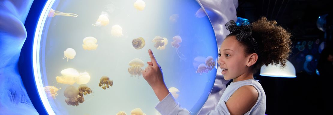 Young girl pointing at jellyfish through window at SEA LIFE London Aquarium