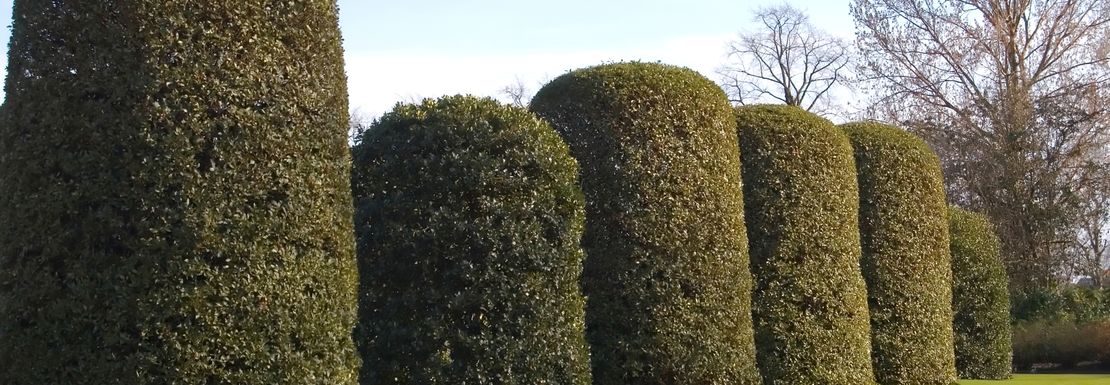Kensington Palace _ Golden Tours _ 1