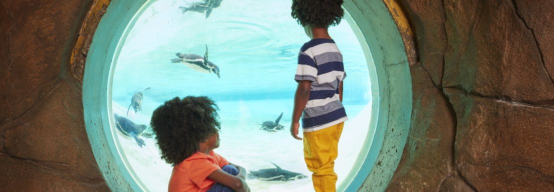 Two children observe underwater as penguins swim by behind giant aquarium glass