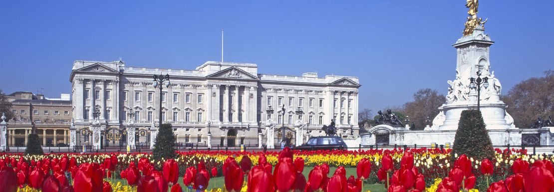 Christmas Day in London Hop-On Hop-Off Bus Tour _ Golden Tours 5