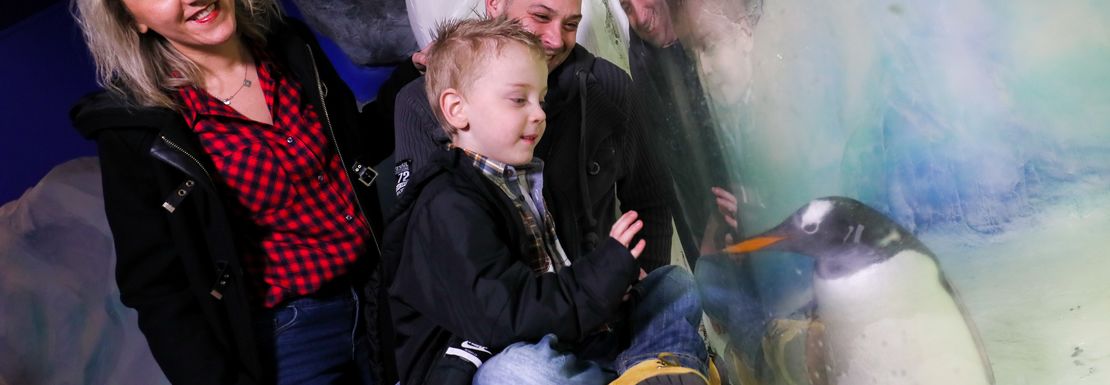 Legoland and SEA LIFE Birmingham _ Merlin _ 11