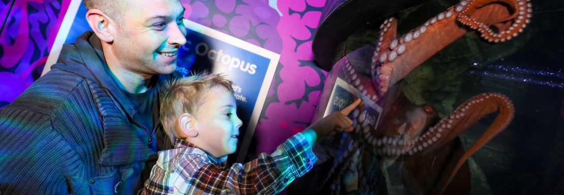 Legoland and SEA LIFE Birmingham _ Merlin _ 12