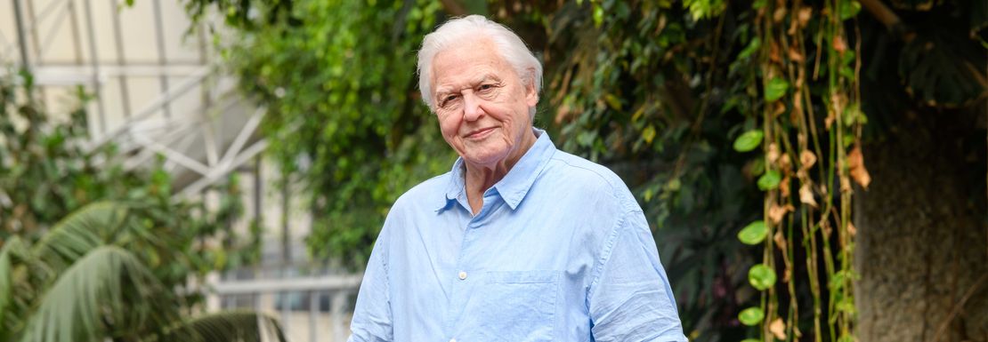 Madame Tussauds London _ Merlin _ Sir David Attenborough 2