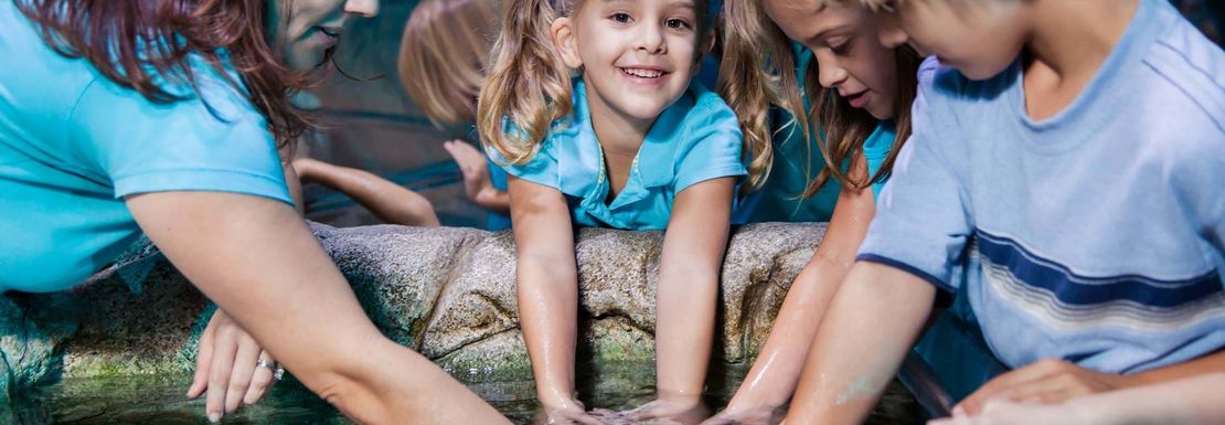 SEA LIFE and LEGOLAND Discovery Centre Manchester combo ticket _ Merlin _ Sea Life 1