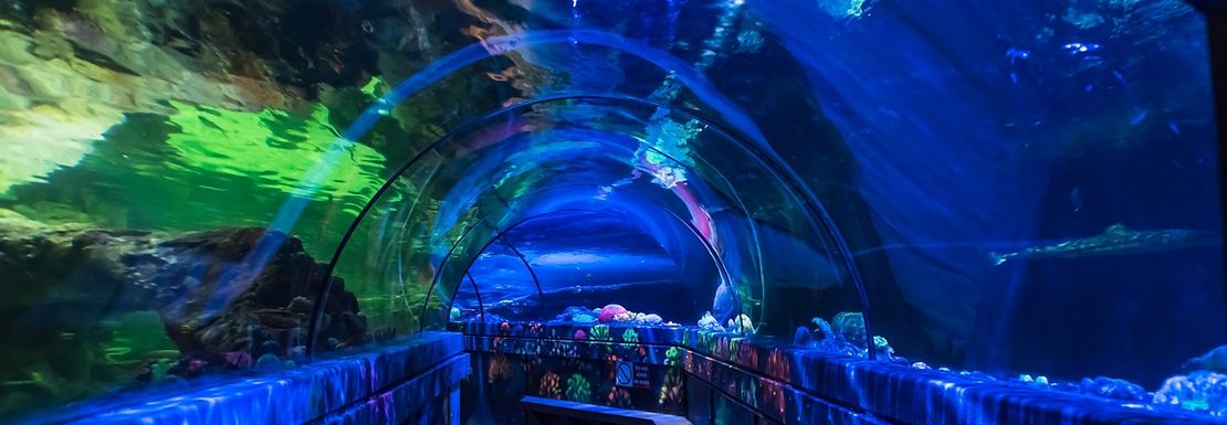 A long blue lit tunnel leads underneath a glass aquarium above head