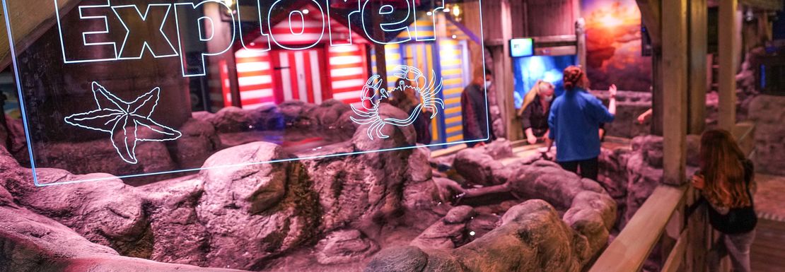 The rockpool at Seal Life Great Yarmouth is great fun for children to be hands on