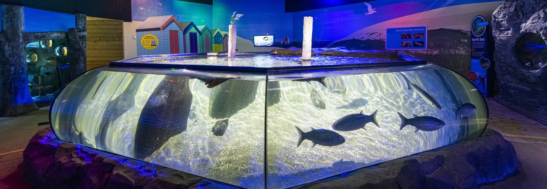 Sea Life Hunstanton aquarium in the centre of the room