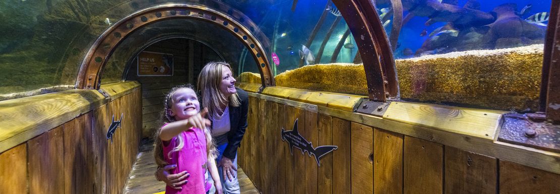 A mother and daughter look up to the tunnel under the sea life
