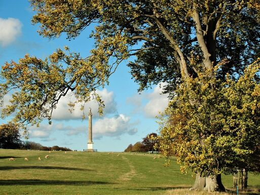 A monument catches the eye on a large lawn being grazed upon by sheep