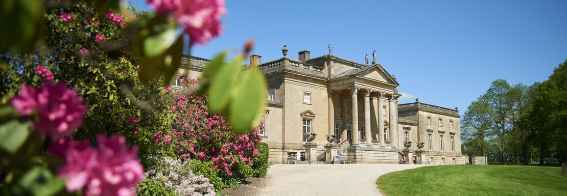 View towards the house along the drive and flowering rhododendon at Stourhead in Wiltshire
