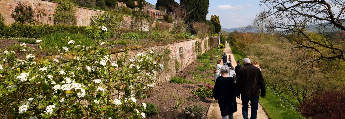 Visitors in the garden walk below the house atop the hill at Powis Castle in Wales