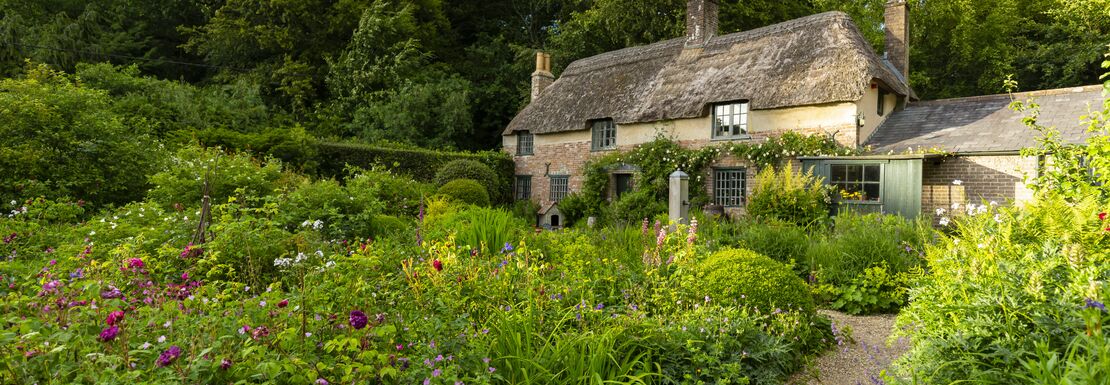 The garden in June at Hardy's Cottage in Dorset