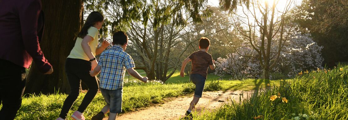 Visitors in the garden in spring at Killerton and Devon