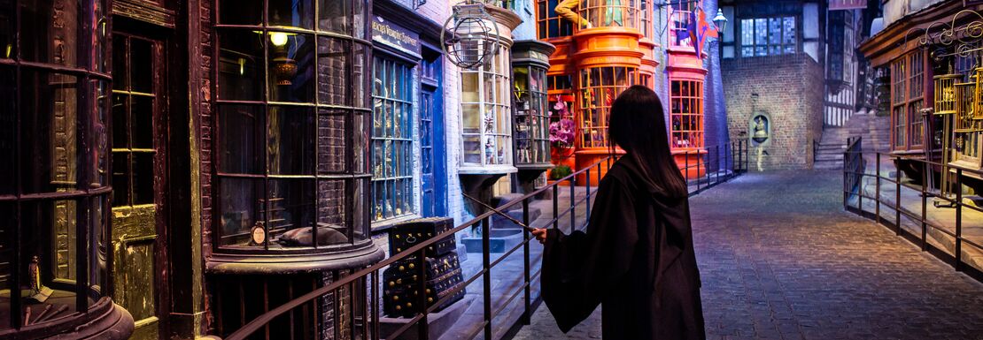 A visitor comes to Diagon Alley and stands in front of shop window