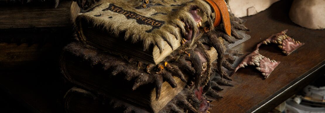 The Monster Book from Harry Potter