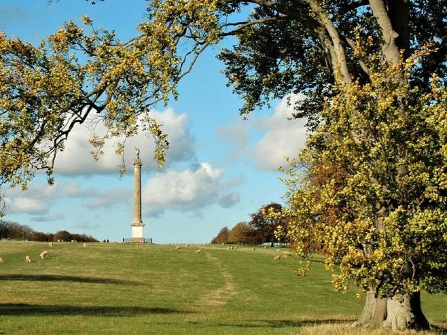 Green space at Blenheim Palace