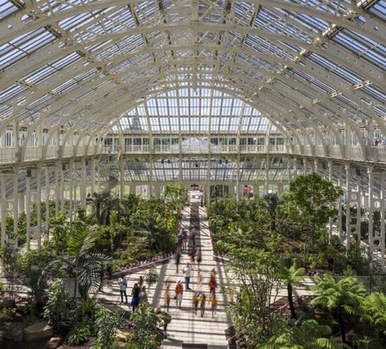 View from inside Kew Gardens