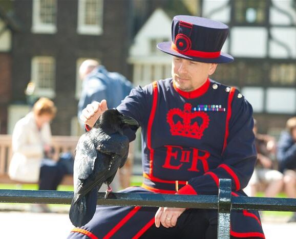 A Yeoman Warder with a crow outside the Tower of London